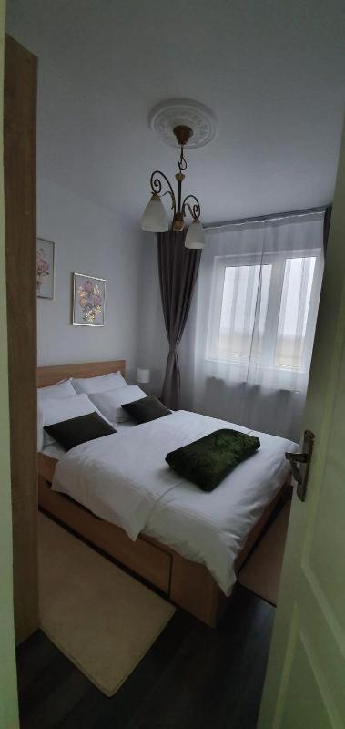 Appartamento Apartament Thea Făgăraş Esterno foto