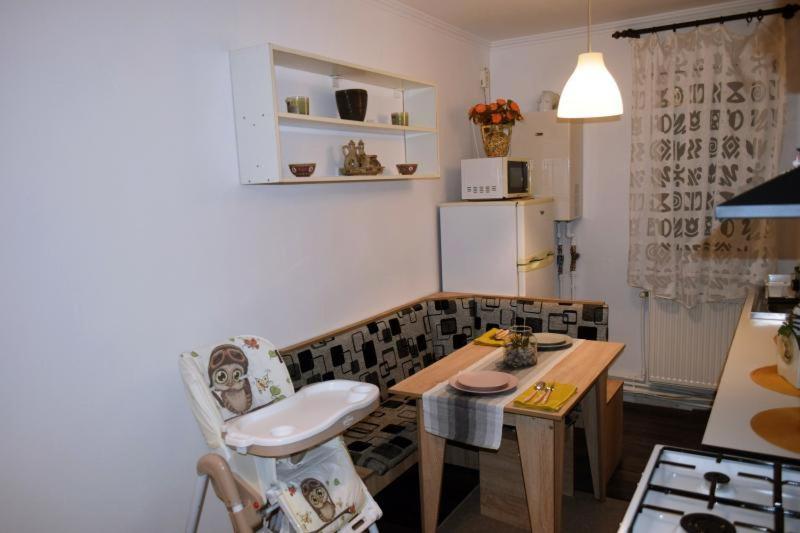Appartamento Apartament Thea Făgăraş Esterno foto