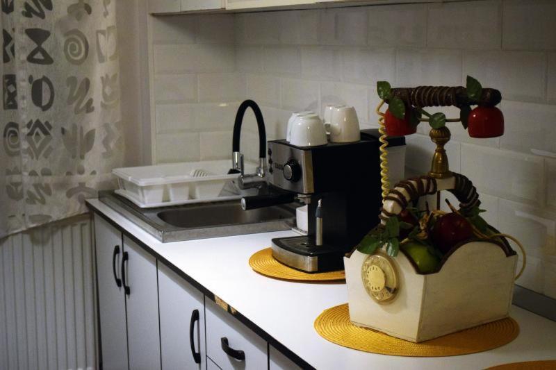 Appartamento Apartament Thea Făgăraş Esterno foto