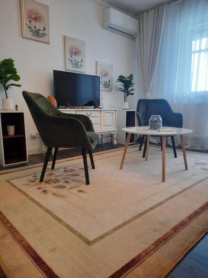 Appartamento Apartament Thea Făgăraş Esterno foto
